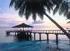 Black Parrot Suites Superior 